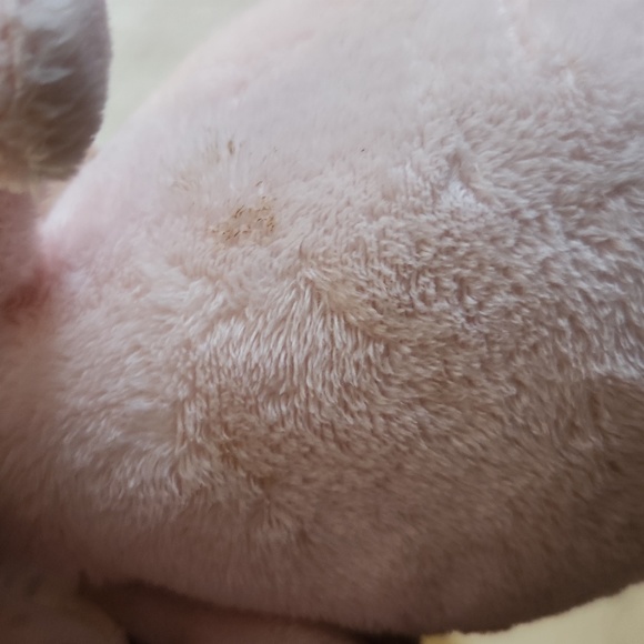 Bunny rabbit with bell - Picture 2 of 3